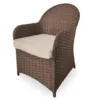 Broyhill Autumn Cove All-Weather Wicker Cushioned Patio Captain's Dining Chair