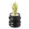 Wild Sedona Artificial Succulent In Black Ribbed Cement Pot